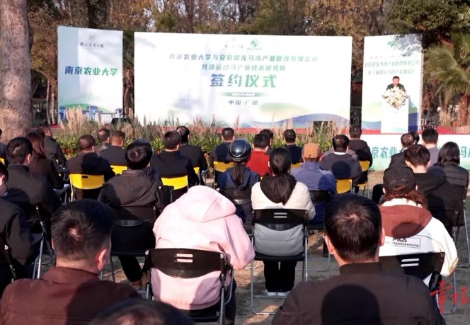 南京農(nóng)業(yè)大學(xué)攜手廣德共建運(yùn)動(dòng)馬產(chǎn)業(yè)技術(shù)研究院